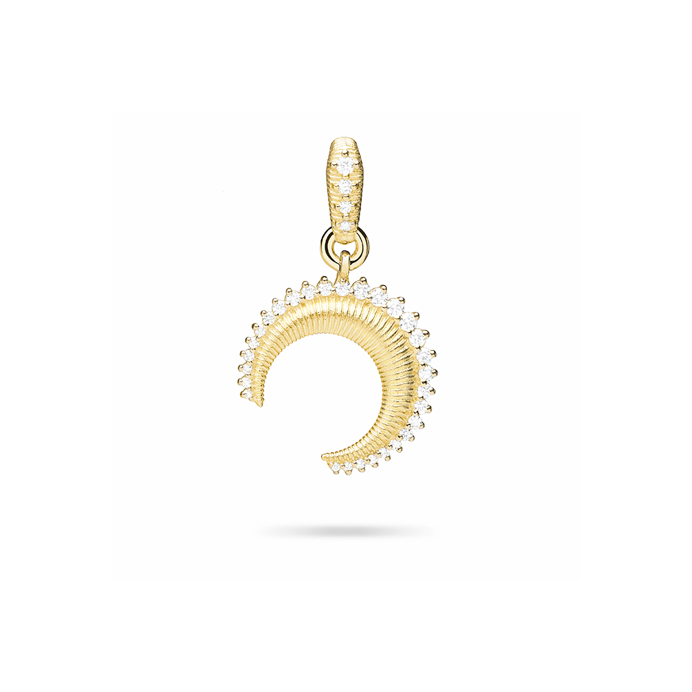 Small Crescent Charm